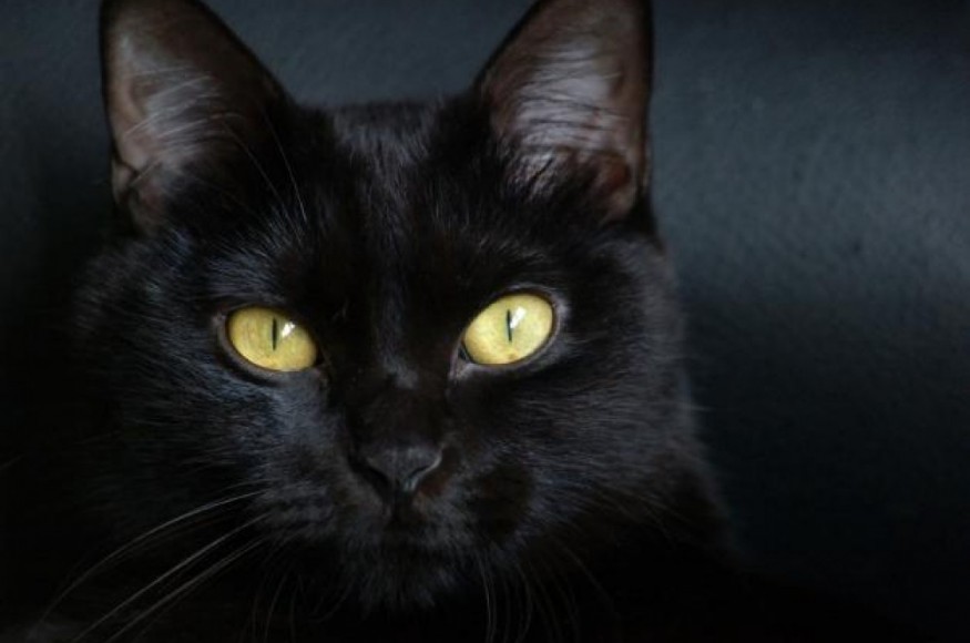 superstition