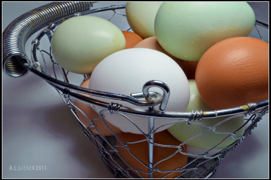 easter_egg_chicken_eggs_by_simplyamy74-d4dguwg