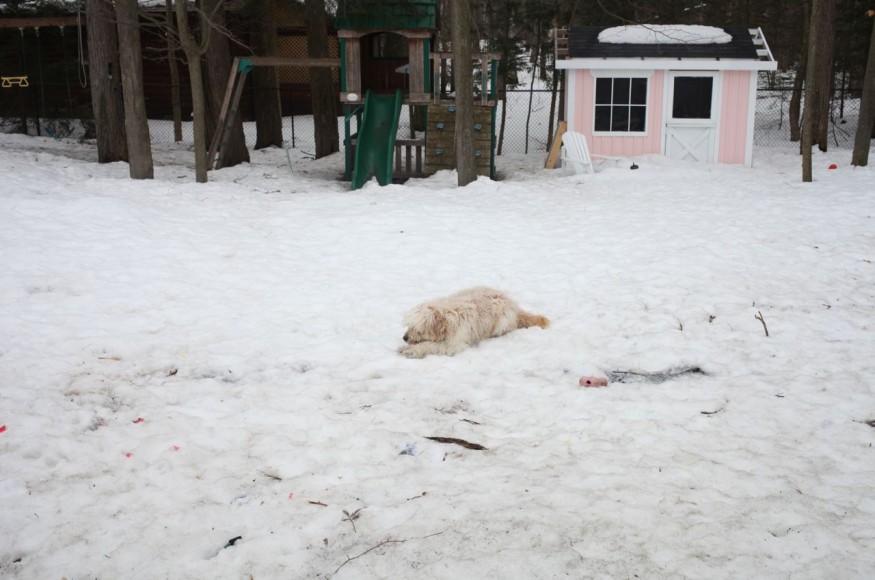 snow at easter