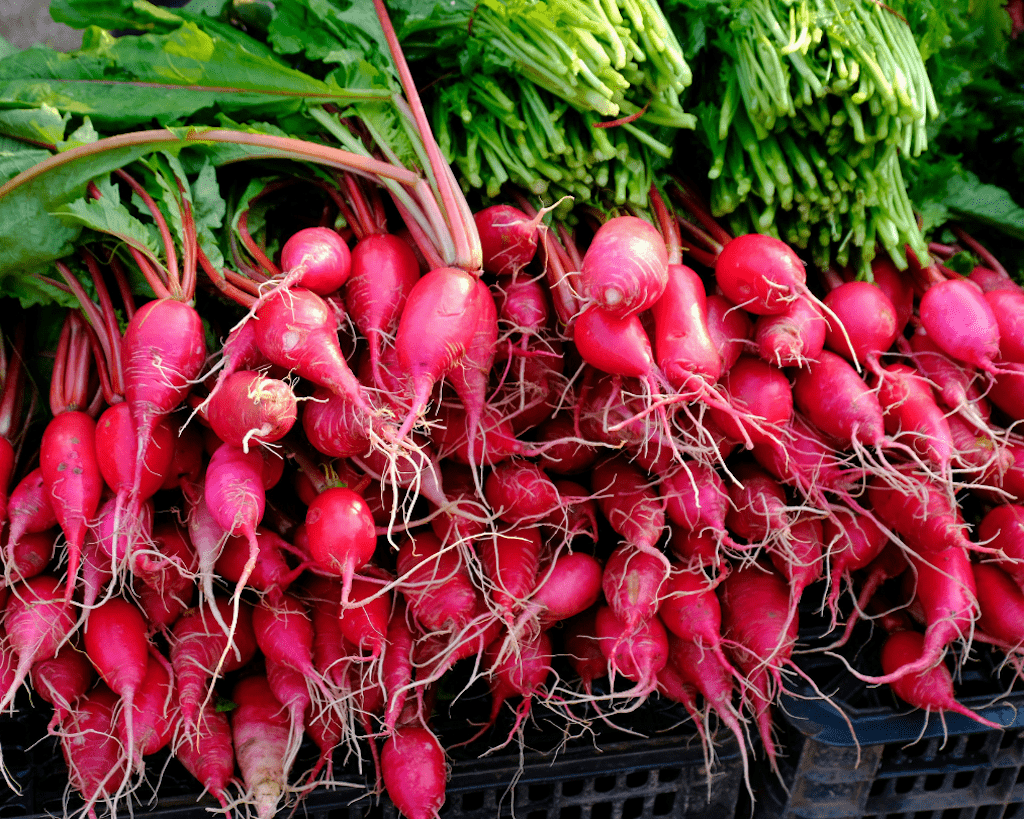 Fresh radishes at a farmers market