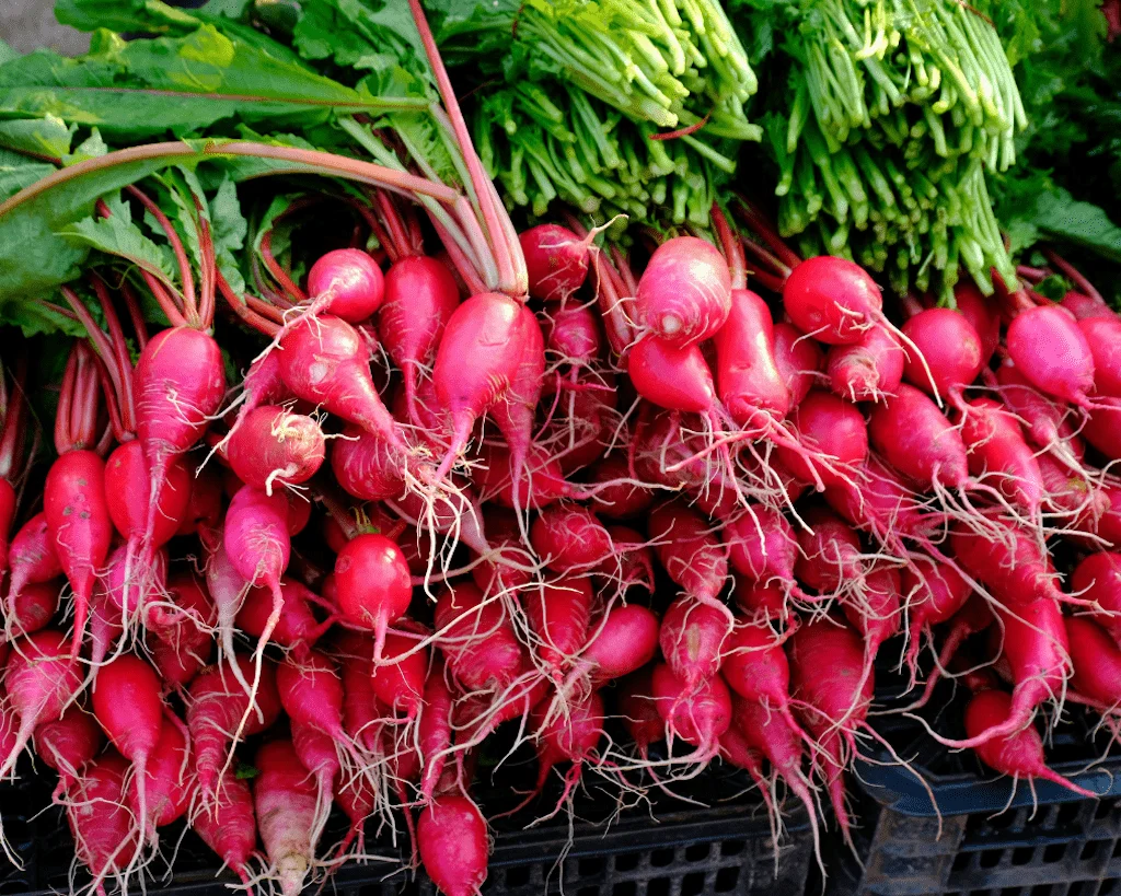 Fresh radishes at a farmers market