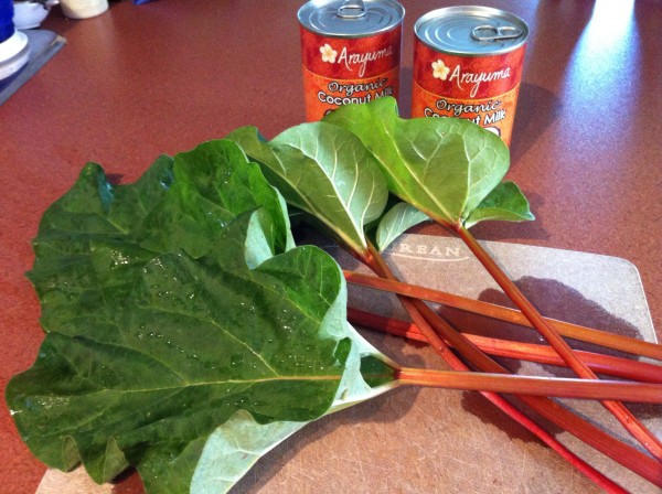 rhubarb and coconut milk