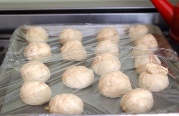 tortilla dough recipe for tortillas