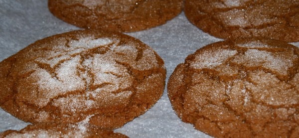 warm ginger cookies