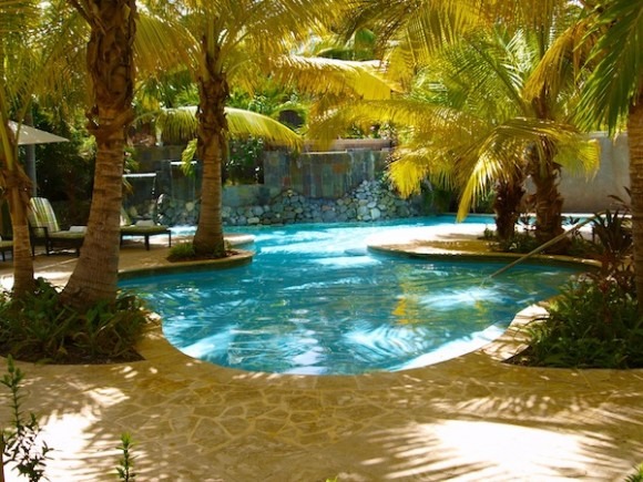 relax by the spa pool Fern Tree