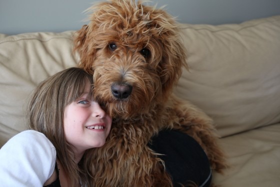 picture taken with dog wearing underwear