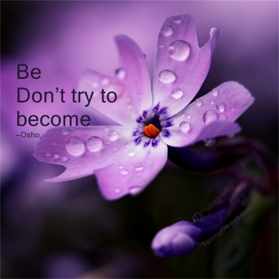 don't compare yourself to others