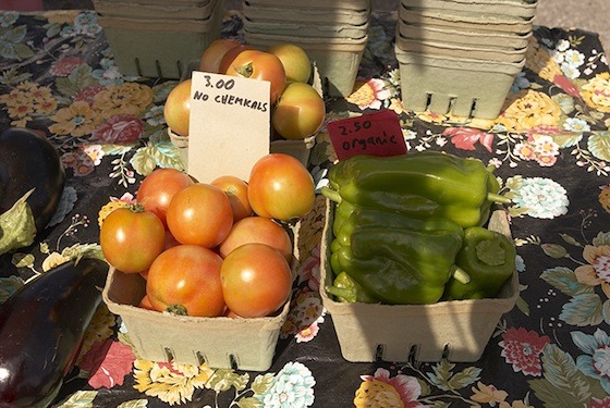 get to know the kawarthas