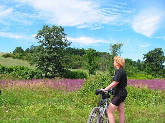 get to know the Kawarthas