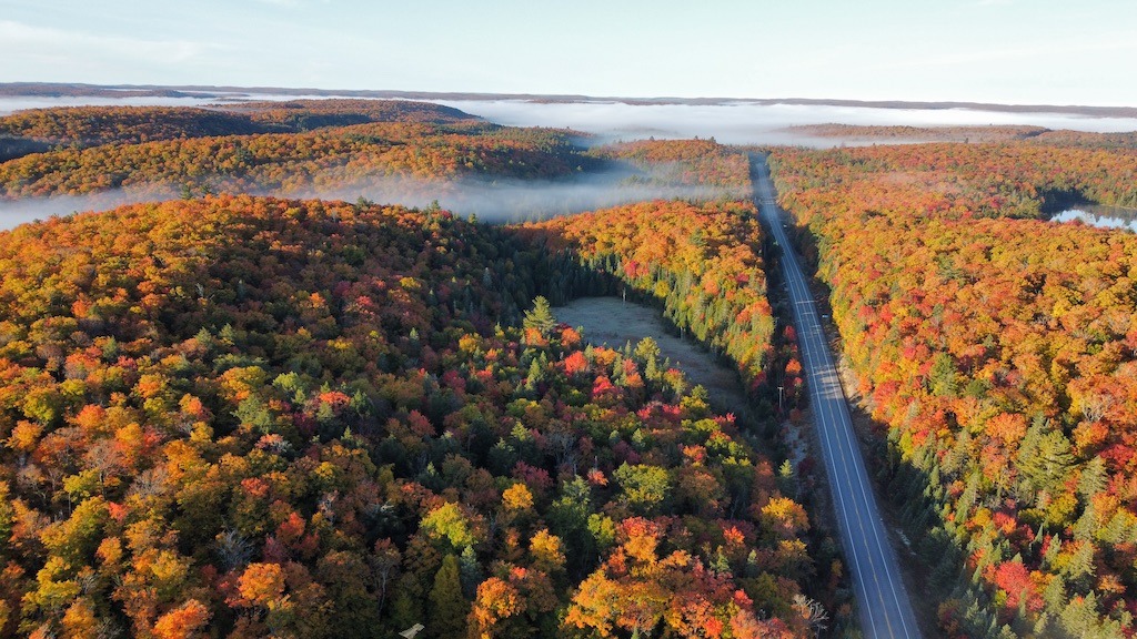 Peak Colours in Algonquin Park