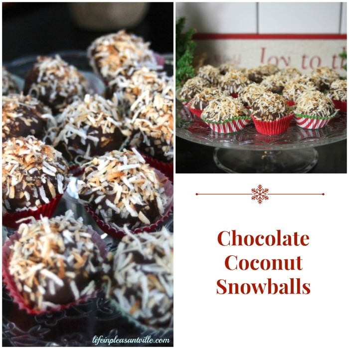 chocolate coconut snowballs