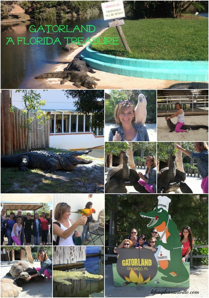 gatorland