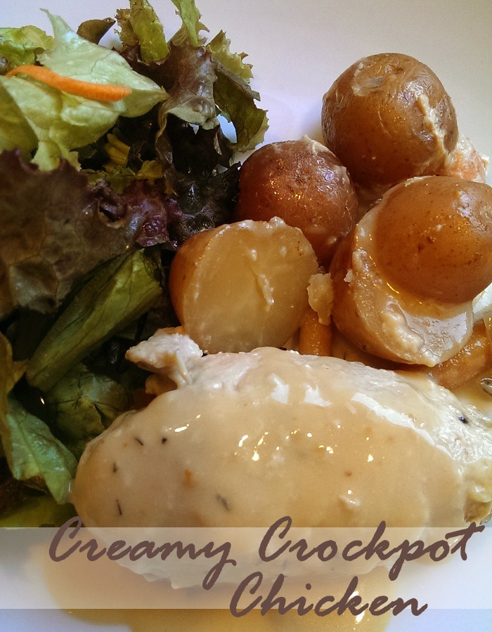 Crockpot Chicken and Potatoes with an Easy Rich Delicious Sauce