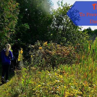 Lyme disease prevention, ticks, summer, camping, hiking, camp, prevention, tips, insects, bug repellent, photograph