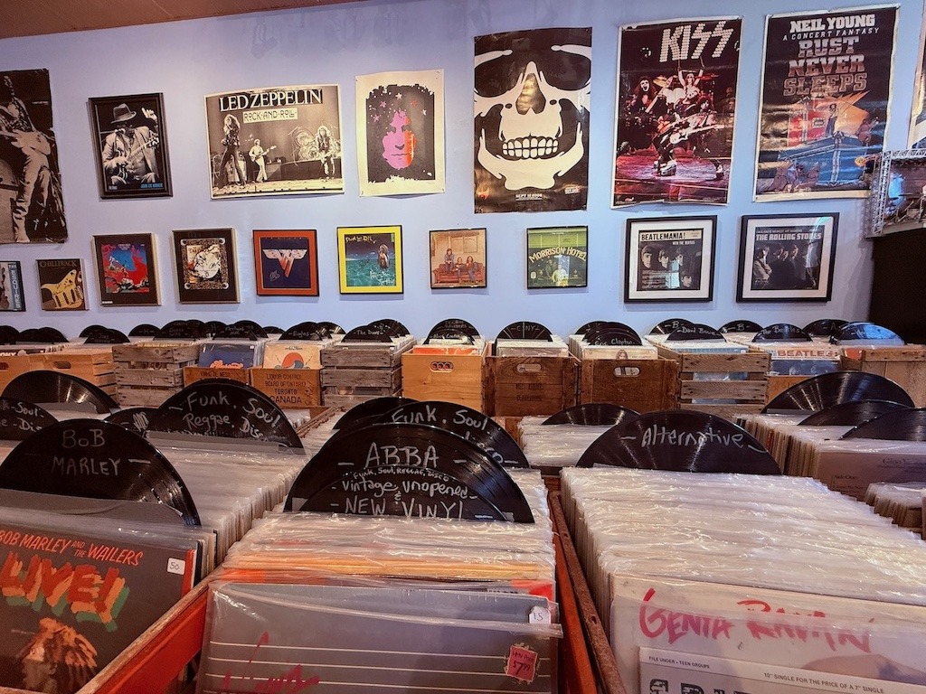 Bins of vintage vinyl records organized by genre including Bob Marley, ABBA, and Alternative, with framed concert posters for Led Zeppelin, KISS, Neil Young and The Rolling Stones on the wall above