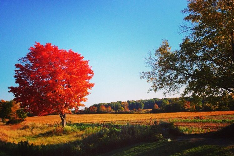 Ontario road trip