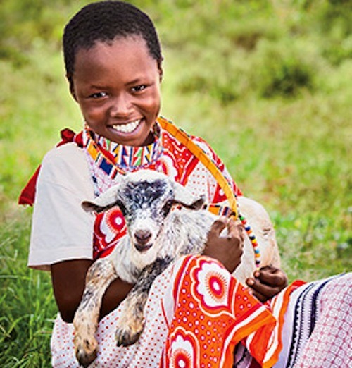 world vision catalogue