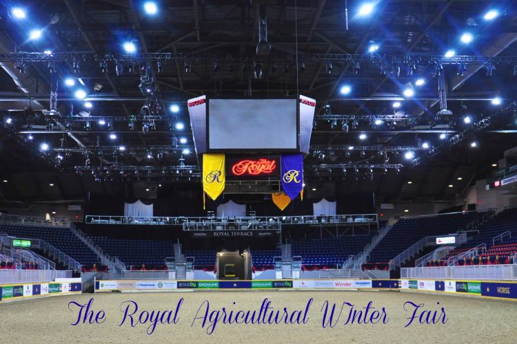 royal agricultural winter fair, Guy McLean, horses, Australian, stock horses, horseman, horse trainer, competitor, farmers, farming, competition, Toronto, Ontario, show jumping, cattle, cattle barn, exhibitors, President's Choice Animal Theatre