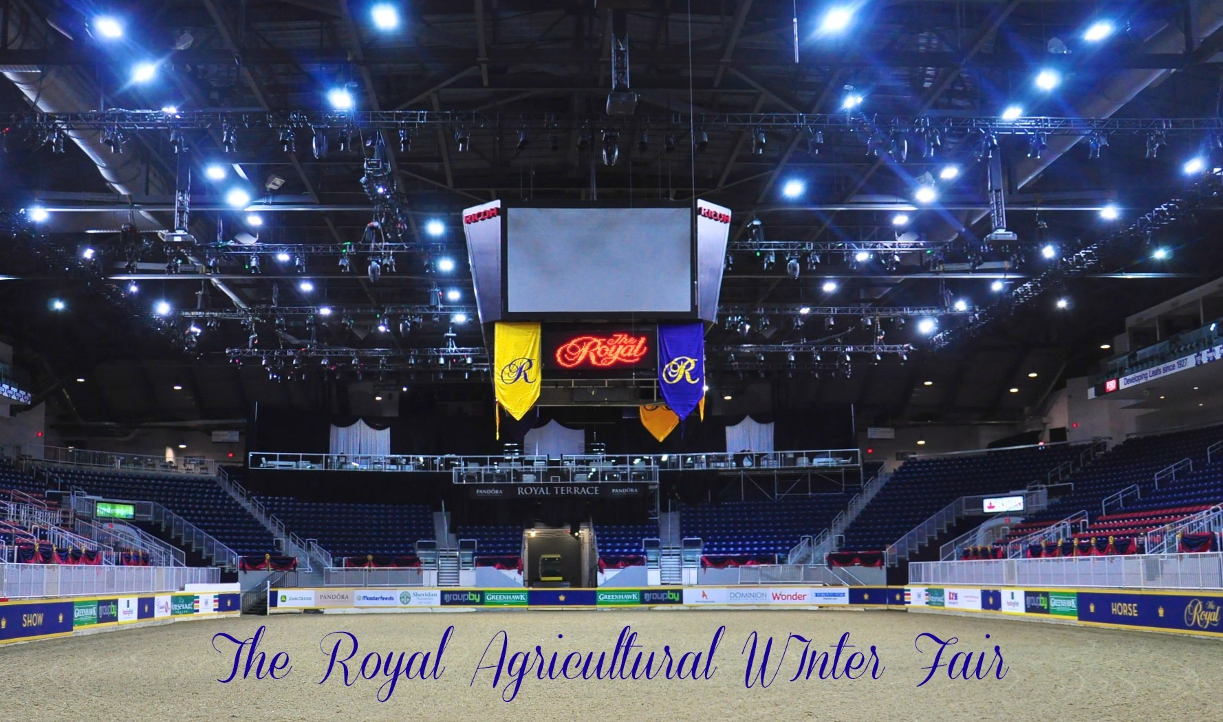 royal agricultural winter fair, Guy McLean, horses, Australian, stock horses, horseman, horse trainer, competitor, farmers, farming, competition, Toronto, Ontario, show jumping, cattle, cattle barn, exhibitors, President's Choice Animal Theatre