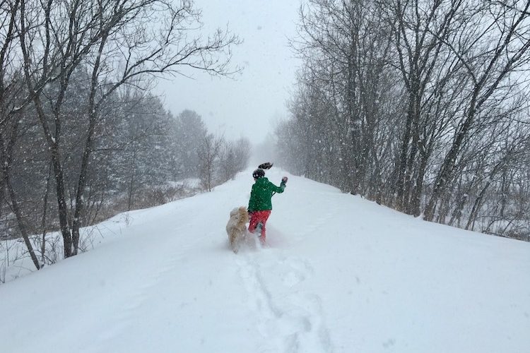 how to make a snow day happen