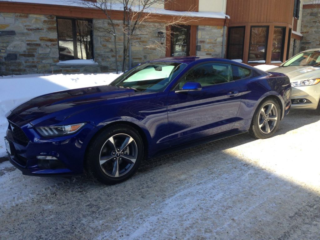 Time is a luxury, 2015 Ford Mustang, cobalt blue