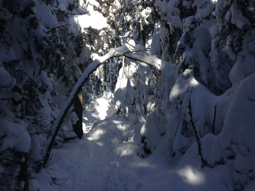 Time is a luxury, Mont Tremblant, winter travel, snowshoeing, mountains, snow, winter sports