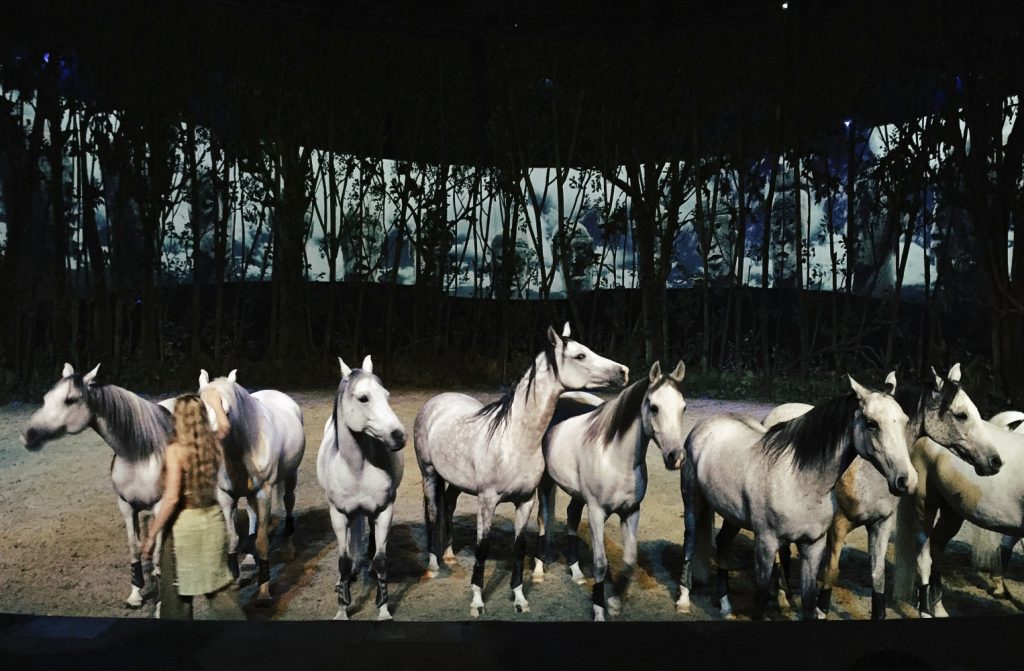 Cavalia Odysseo Cavalia Odysseo