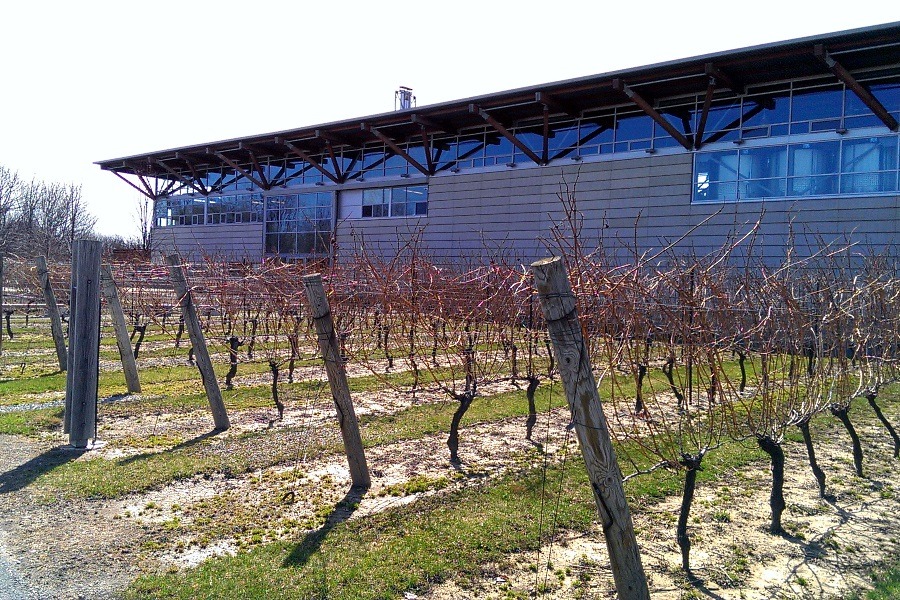 Jackson Triggs NOTL Winery