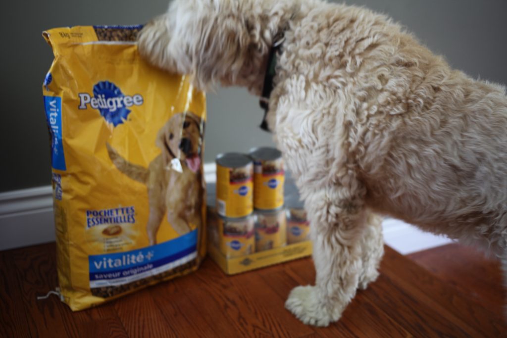 mixed feeding for pets