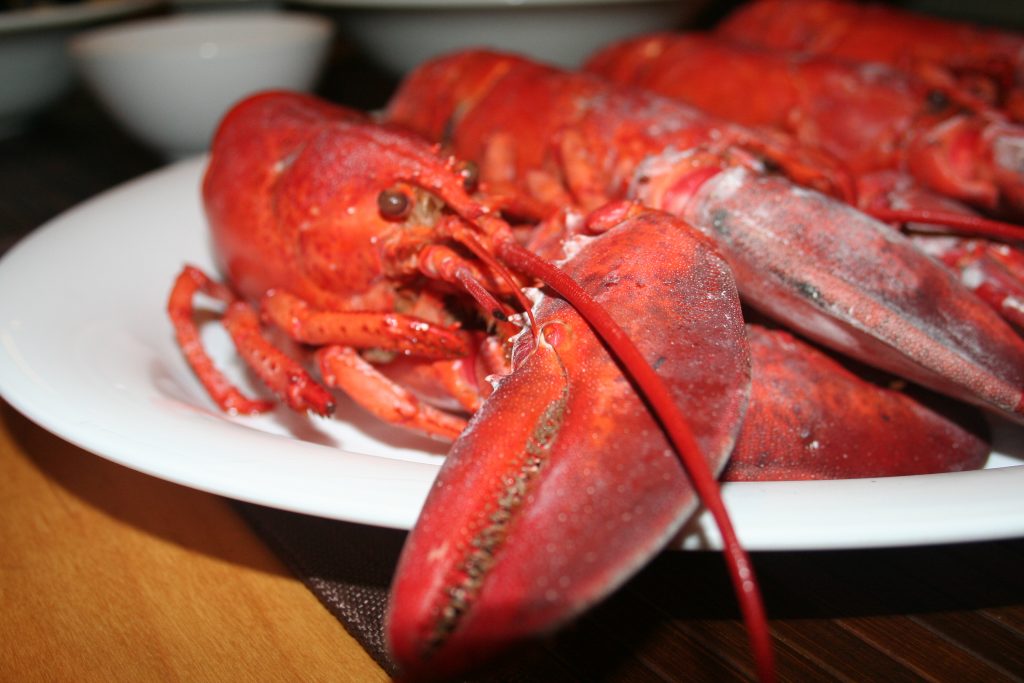Have Food, Will Travel lobster