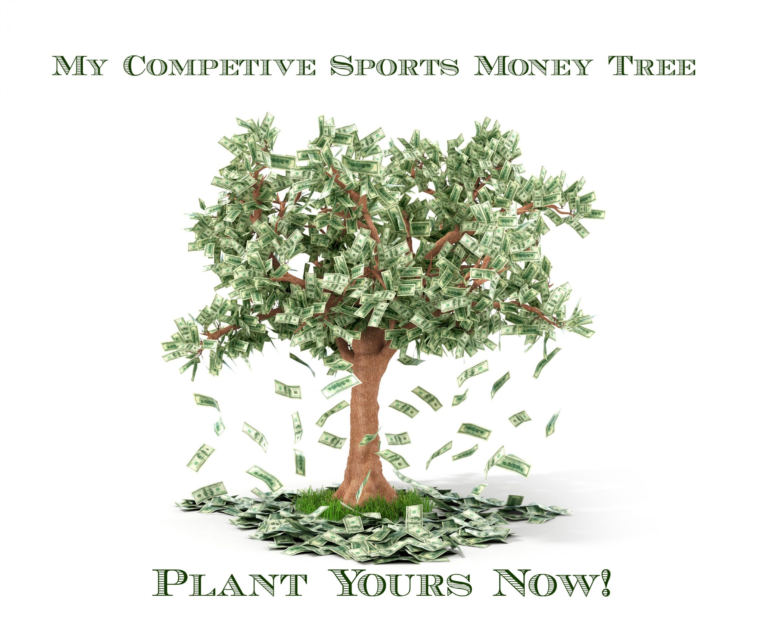 Plant Your Money Tree now for Competitve Sports
