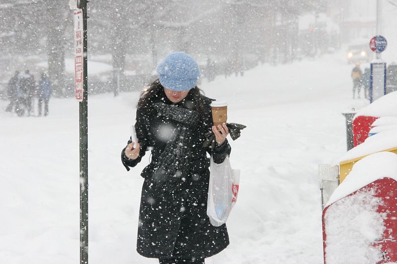 800px-DC_Snowstorm_Feb_-_Flickr_-_Al_Jazeera_English_(9)