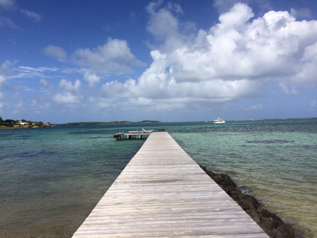 Martinque travel more travel resolutions