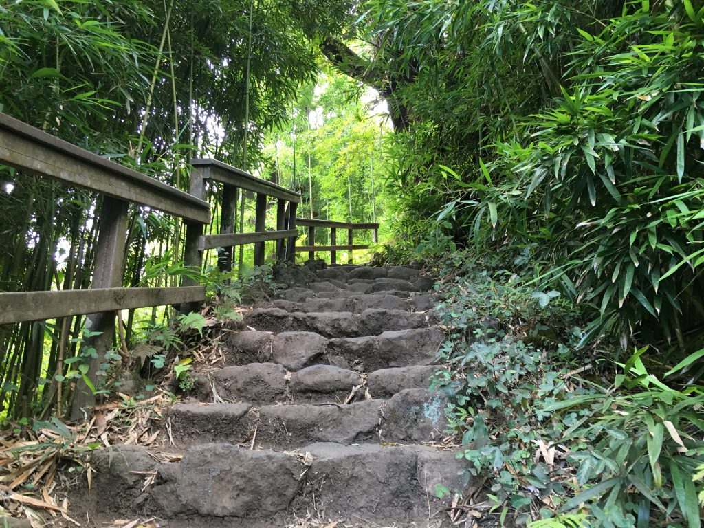 hiking in hawaii travel more travel resolutions