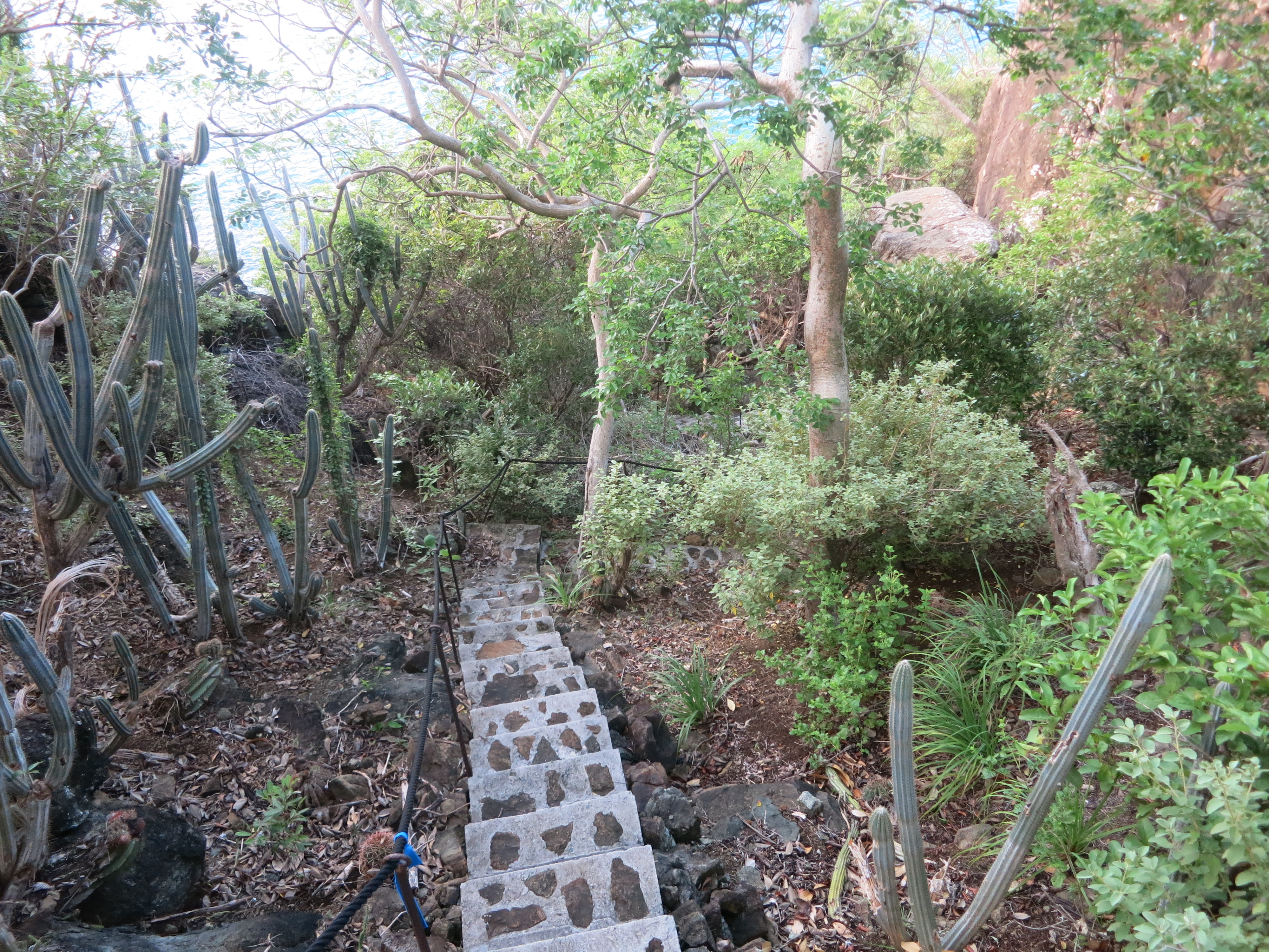 Travel Destinations for People Who Already Live in Paradise Travel_Destinations_for_People_Who_Already_Live_in_Paradise