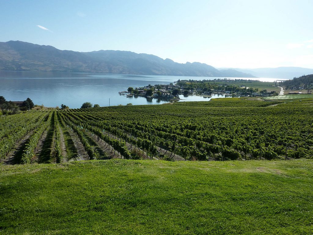 For Canadians suffering with travel itch, it's now time to plan a staycation and travel the world in Canada. We have homegrown options to compare to some of the greatest places in the world and this summer vacation will still be one to remember! Kelowna_Vineyard_overlooking_Okanagan_Lake
