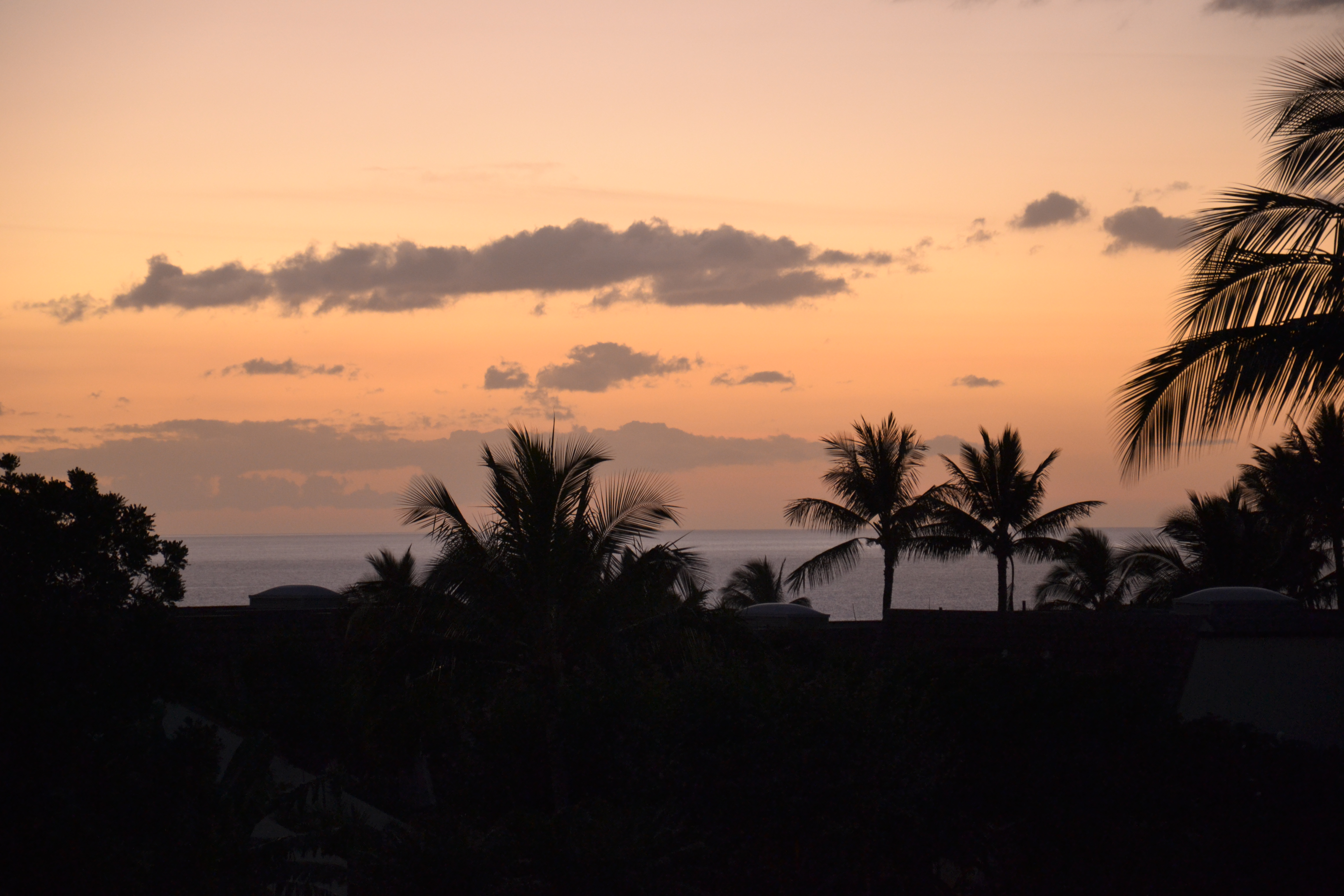 Follow these 5 steps to practise mindfulness when you're losing your mind, to come back to the present moment so you can renew your focus and awareness. sunset