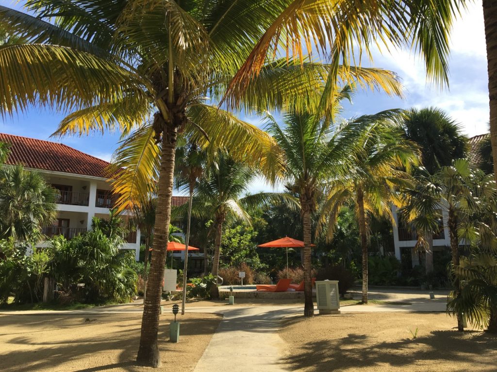 Couples Swept Away Negril