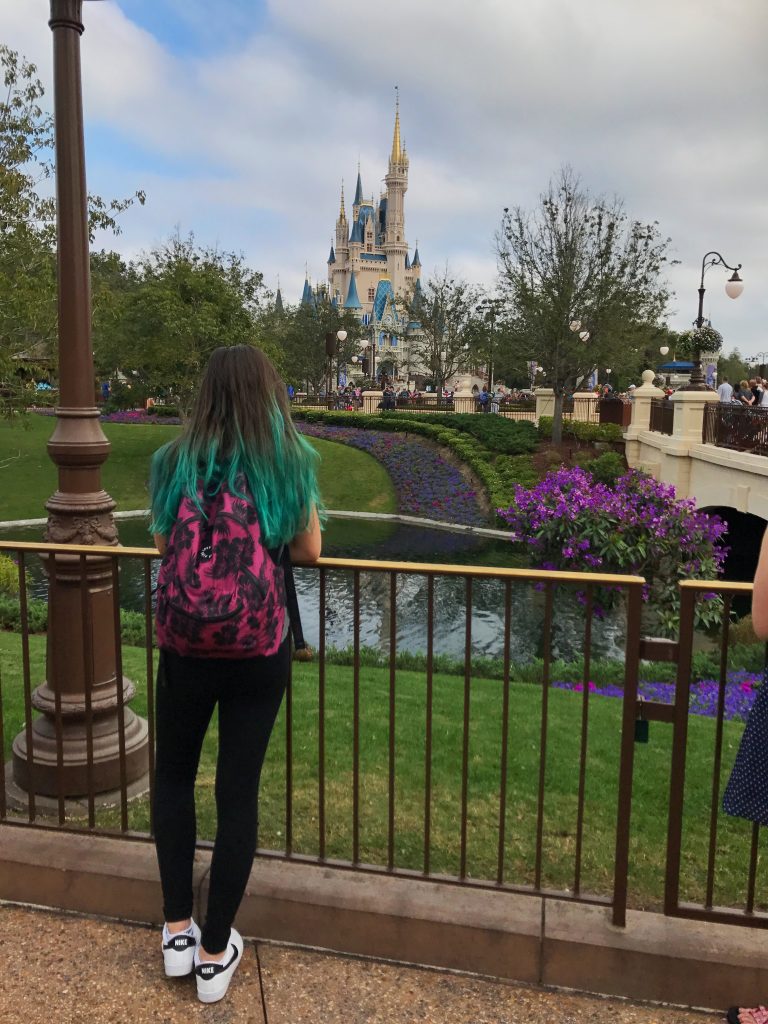 Magic Kingdom castle