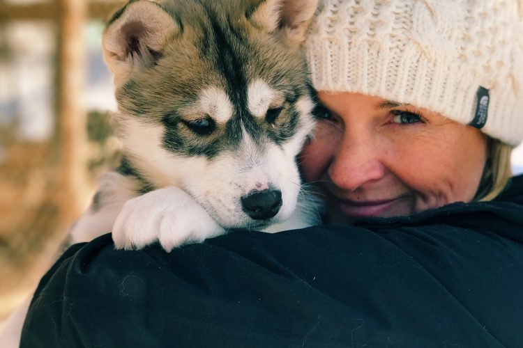 Dogsledding in Mont Tremblant