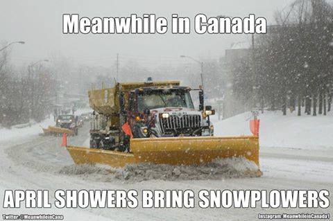 too canadian, snow in April