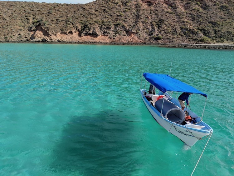 Best Adventure Tours in Cabo, Isla Espíritu Santo, Biosphere