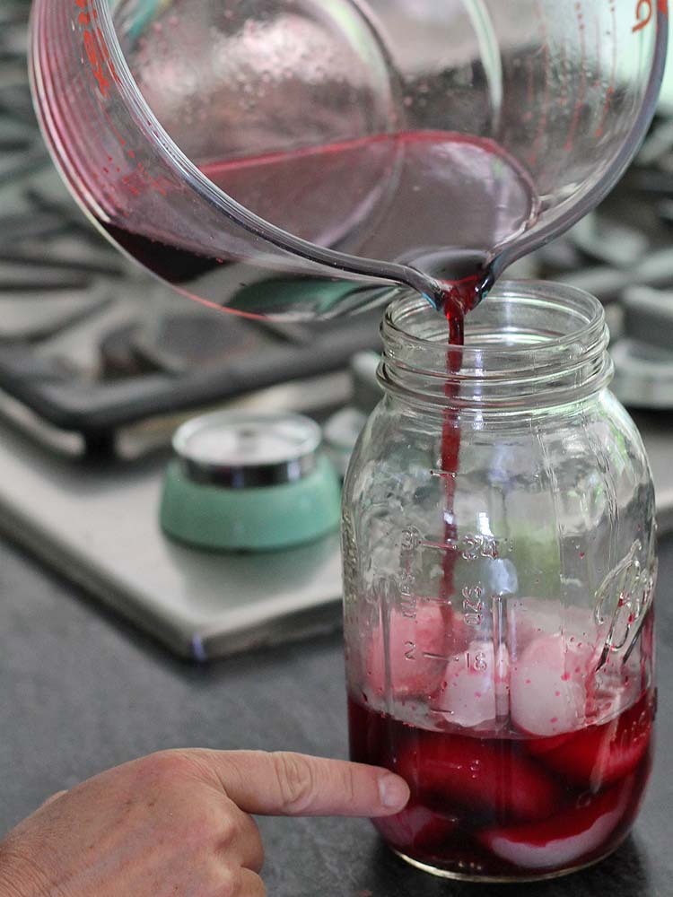 hibiscus margaritas, shaken, recipe