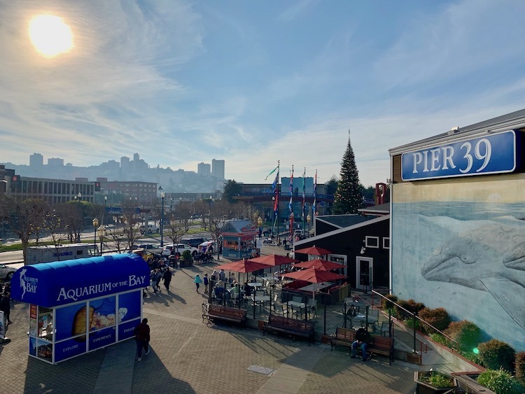 stuck in San Francisco, Pier 39, Aquarium of the Bay, CityPASS
