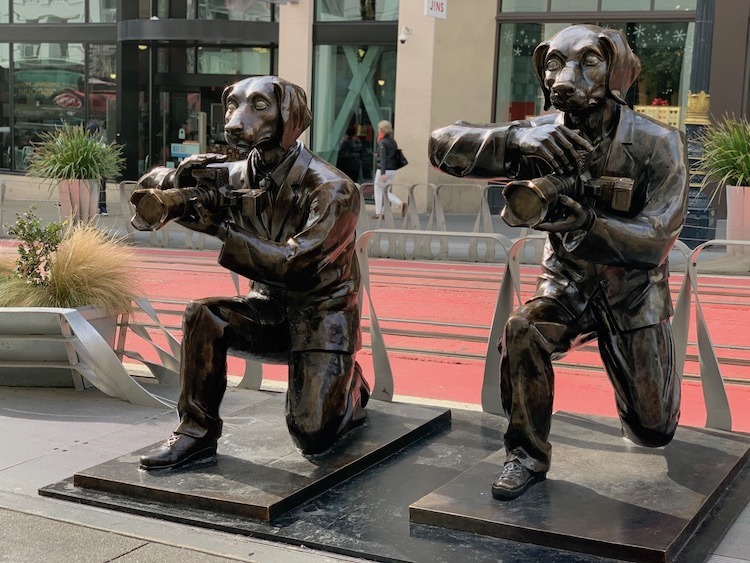 stuck in San Francisco, art, paparazzi dogs