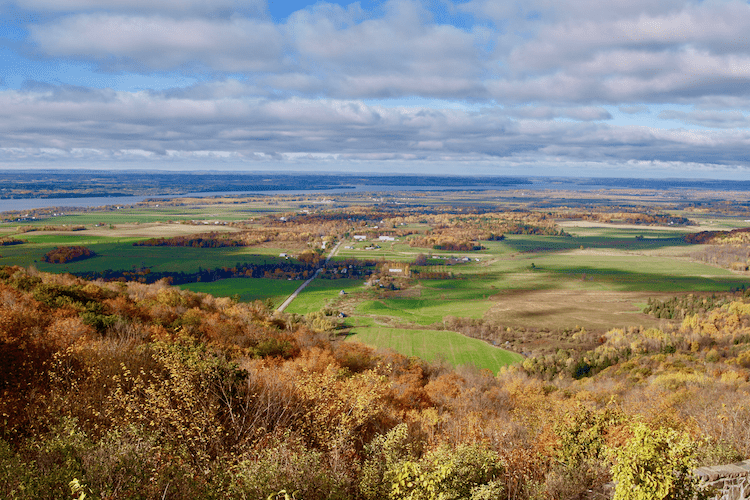 fall colours in Ottawa
