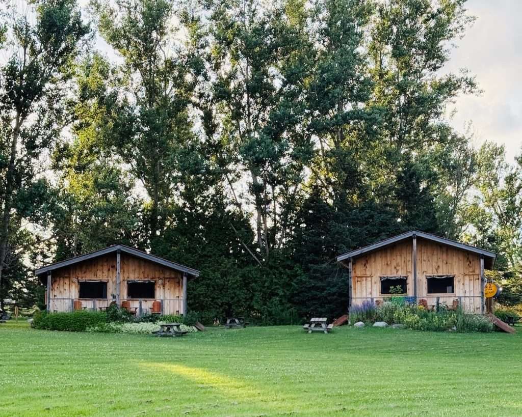 Two wooden cabañas with covered porches and Muskoka chairs at OWL Rafting, set against tall trees