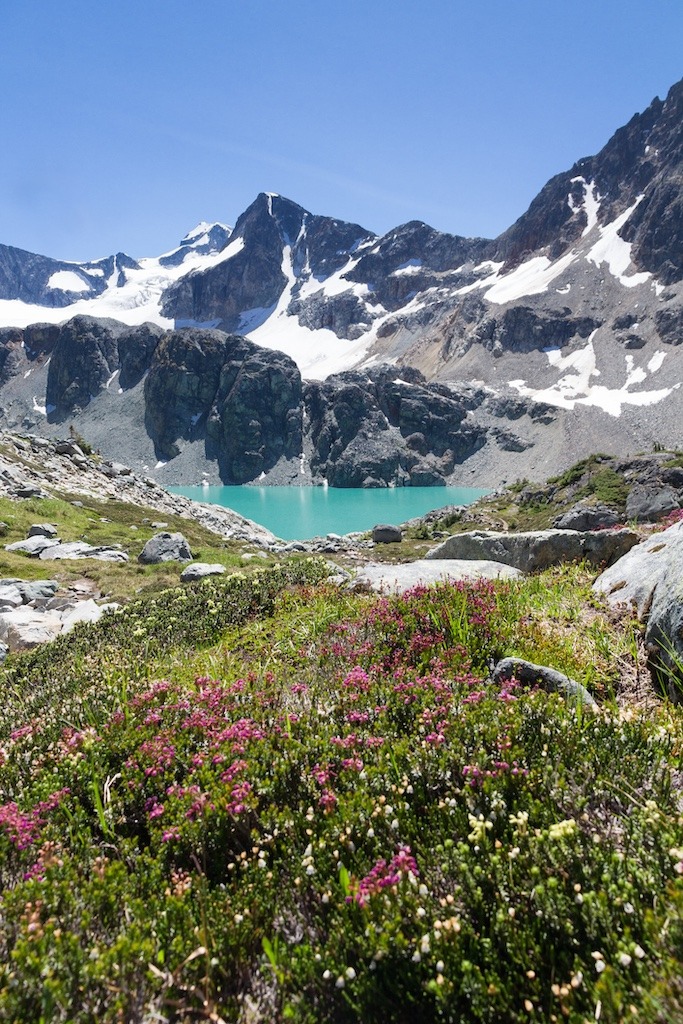 Wedgemount Whistler