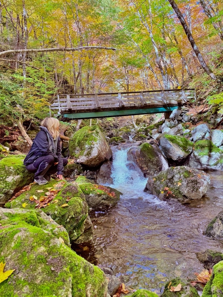Exploring a forest stream and bridge in Cape Breton Highlands National Park with the Canada Strong Pass