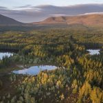Wild Nephin National Park